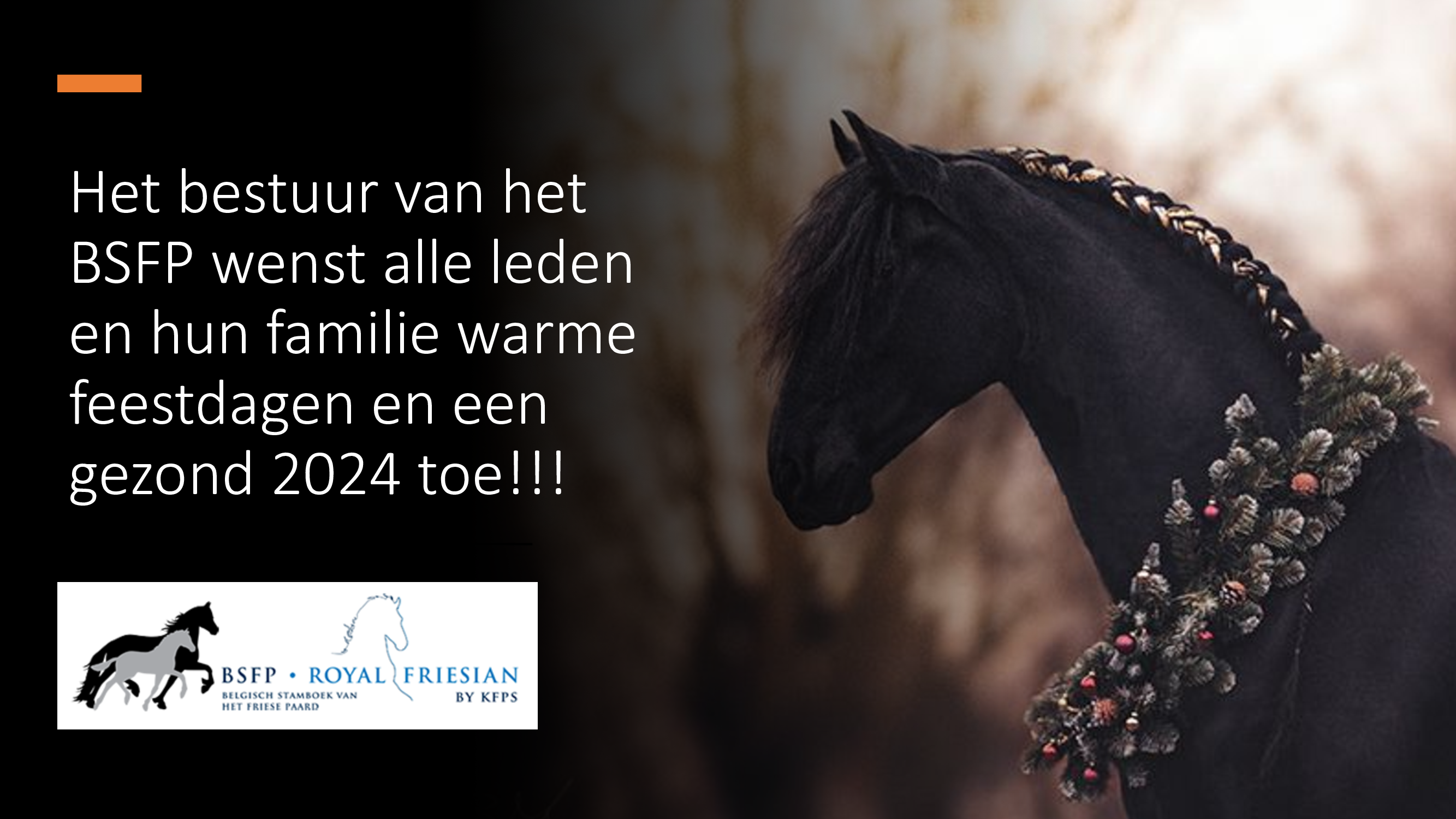 Kerst_BSFP_2024.png