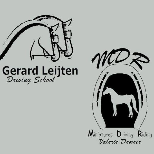 Gerard Leijten Driving School